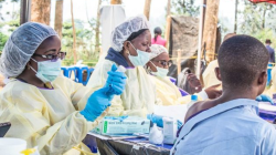 ebola-1-600-vaccinated-in-guinea-but-more-jabs-needed-says-who