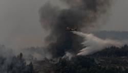 One dead, dozens injured in wildfires near Athens - CGTN