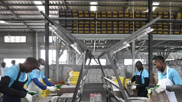 Chinese firms boosting Kenya's manufacturing sector via technology - CGTN