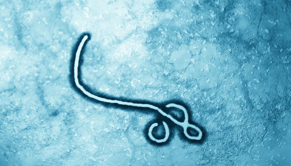 Uganda declared its ongoing Ebola outbreak on September 20 in Mubende district. /CFP