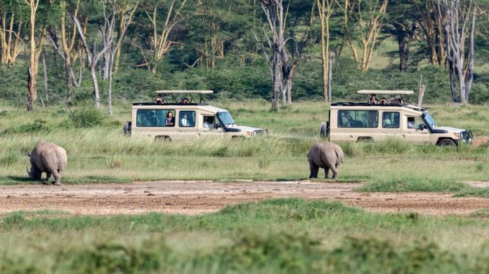 Tourists driving in a national park. /Xinhua