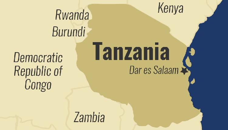 Tanzania mobilizes firefighters to put out fire on Mt Kilimanjaro - CGTN