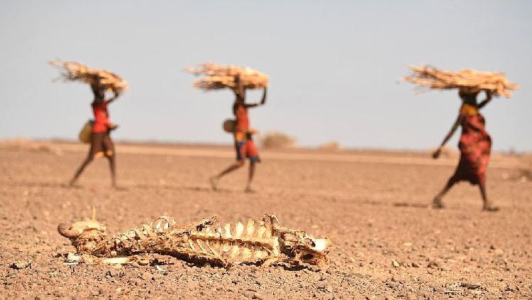Tanzania starts rationing water due to drought - Vimarsana News