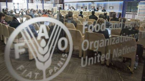 FILE PIC: The Food and Agriculture Organization of the United Nations. /FAO