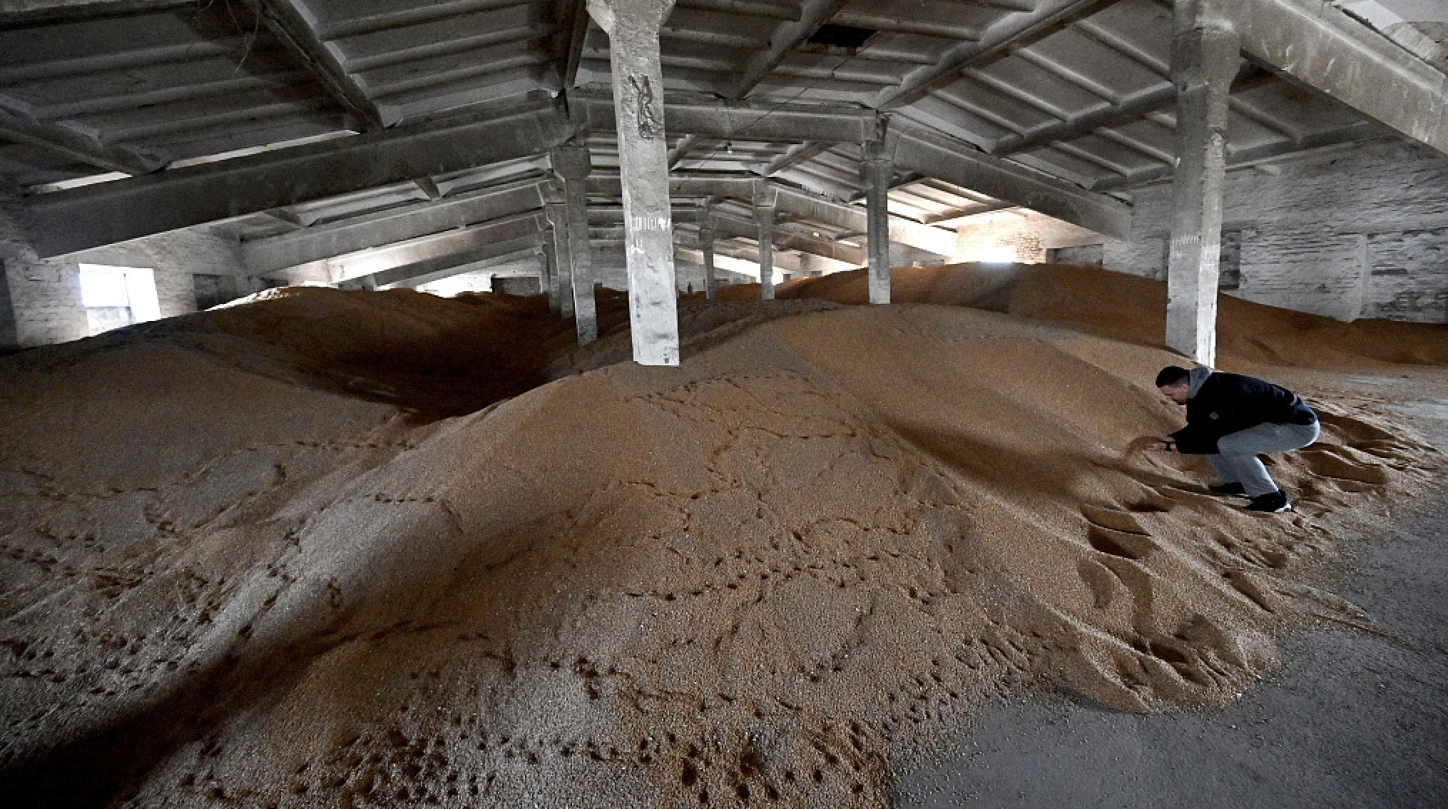 A farmer examines remnants of unsold grain in a storage of his farm in Kyiv region on April 19, 2023. /CFP