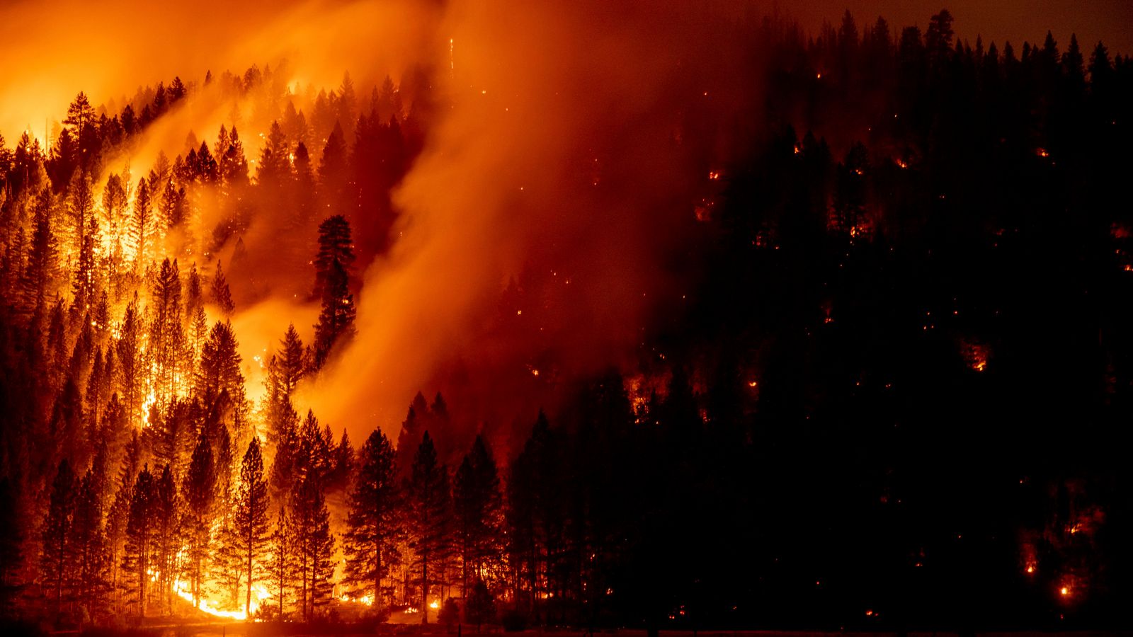 FILE PIC: A photo showing wildfires in a forested area. /AP