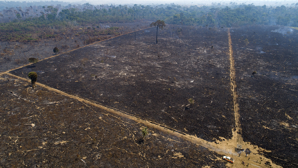 deforestation at six-year-low in Brazil after plunging 66