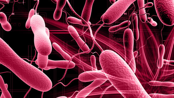 Cholera no longer national public health emergency in Malawi