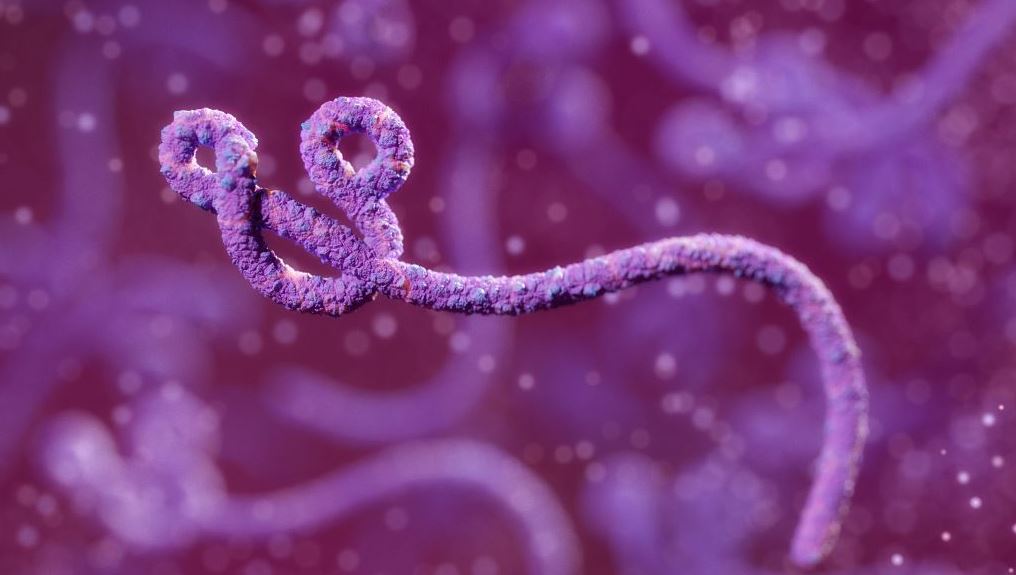 Uganda starts vaccinating frontline health workers against Ebola virus. /CFP