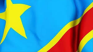 PIC: The Democratic Republic of Congo flag. /AFP