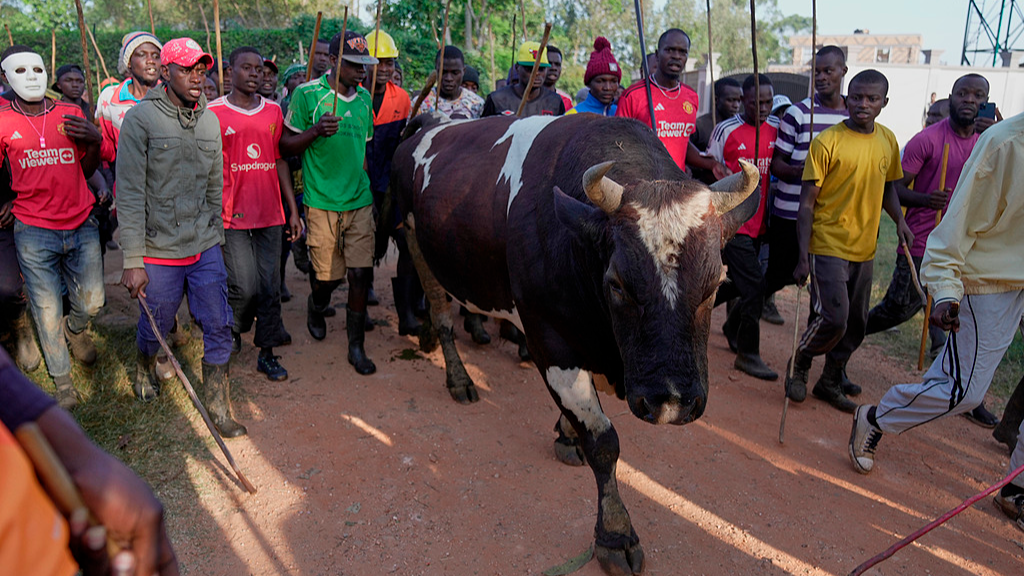 A crowd of spectators escort Shakahola in Kakamega County, western Kenya. /CFP