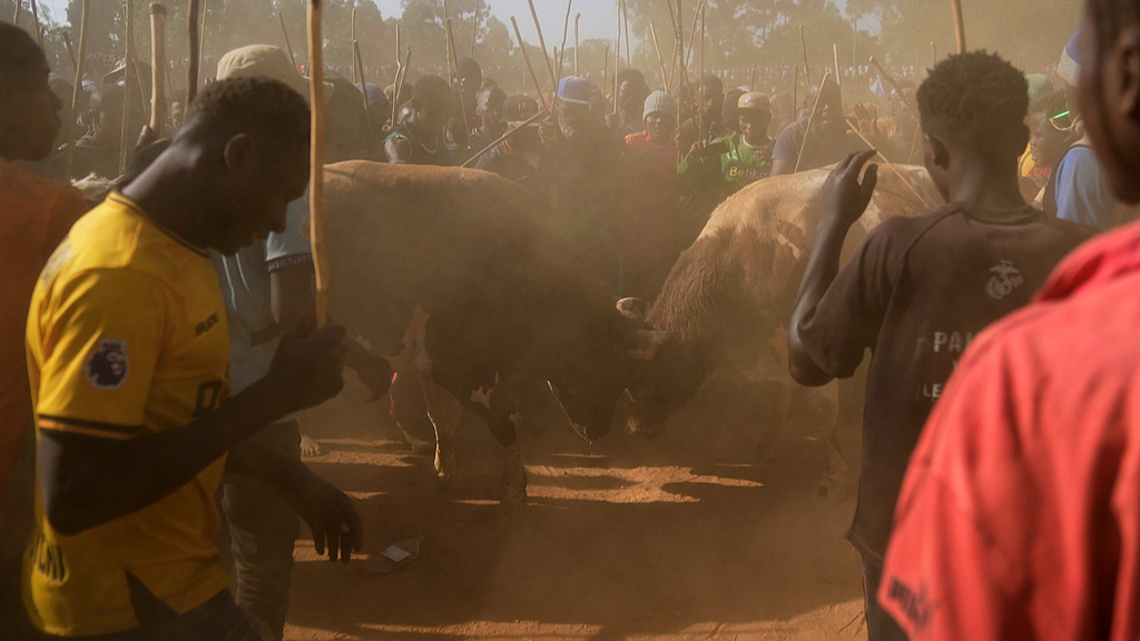A crowd of spectators encircles Shakahola and Promise in Kakamega County, western Kenya. /CFP