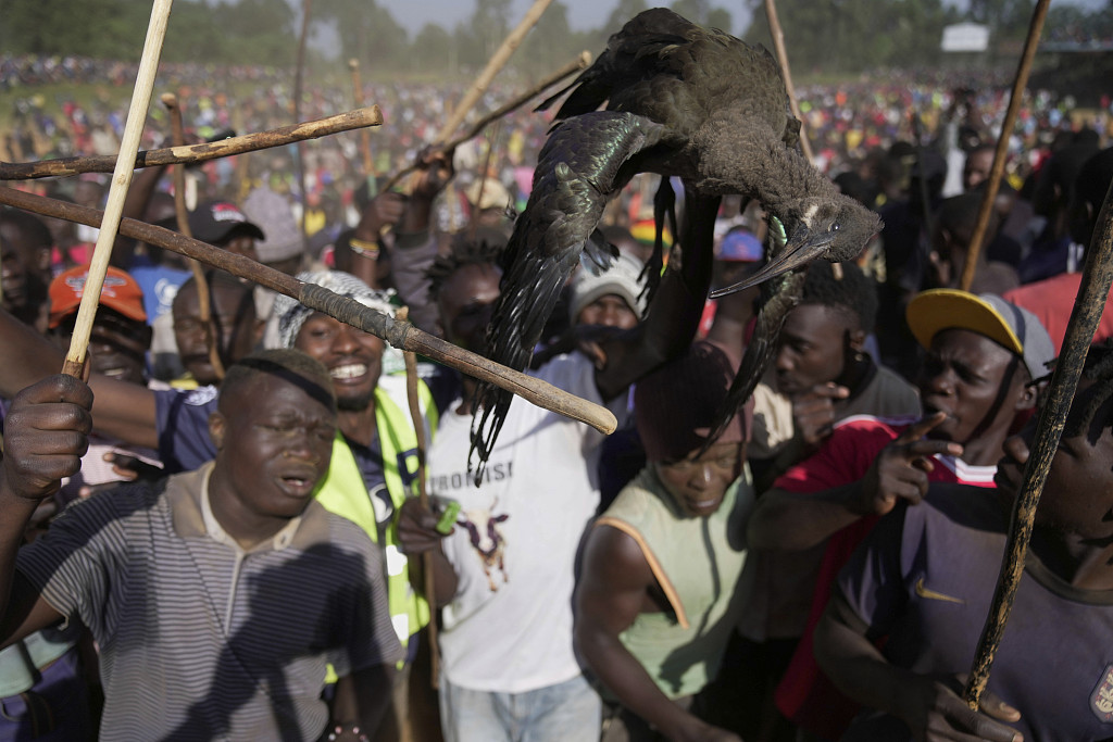 Spectators hold a dead bird after Shakahola’s win in Kakamega County, western Kenya. /CFP