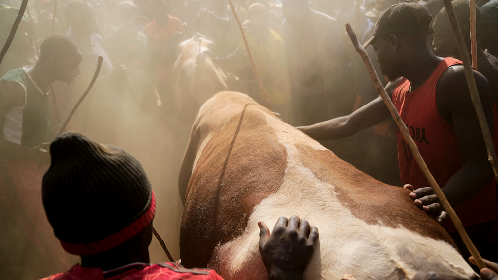 Spectators encircle Shakahola and Promise in Kakamega County, western Kenya. /CFP