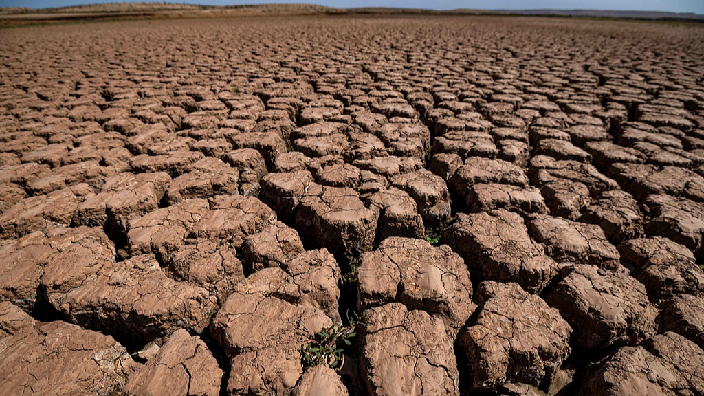 Cracked earth in Ouled Essi Masseoud village, some 140 kilometers (85 miles) south of Casablanca, on March 6, 2024. /VCG