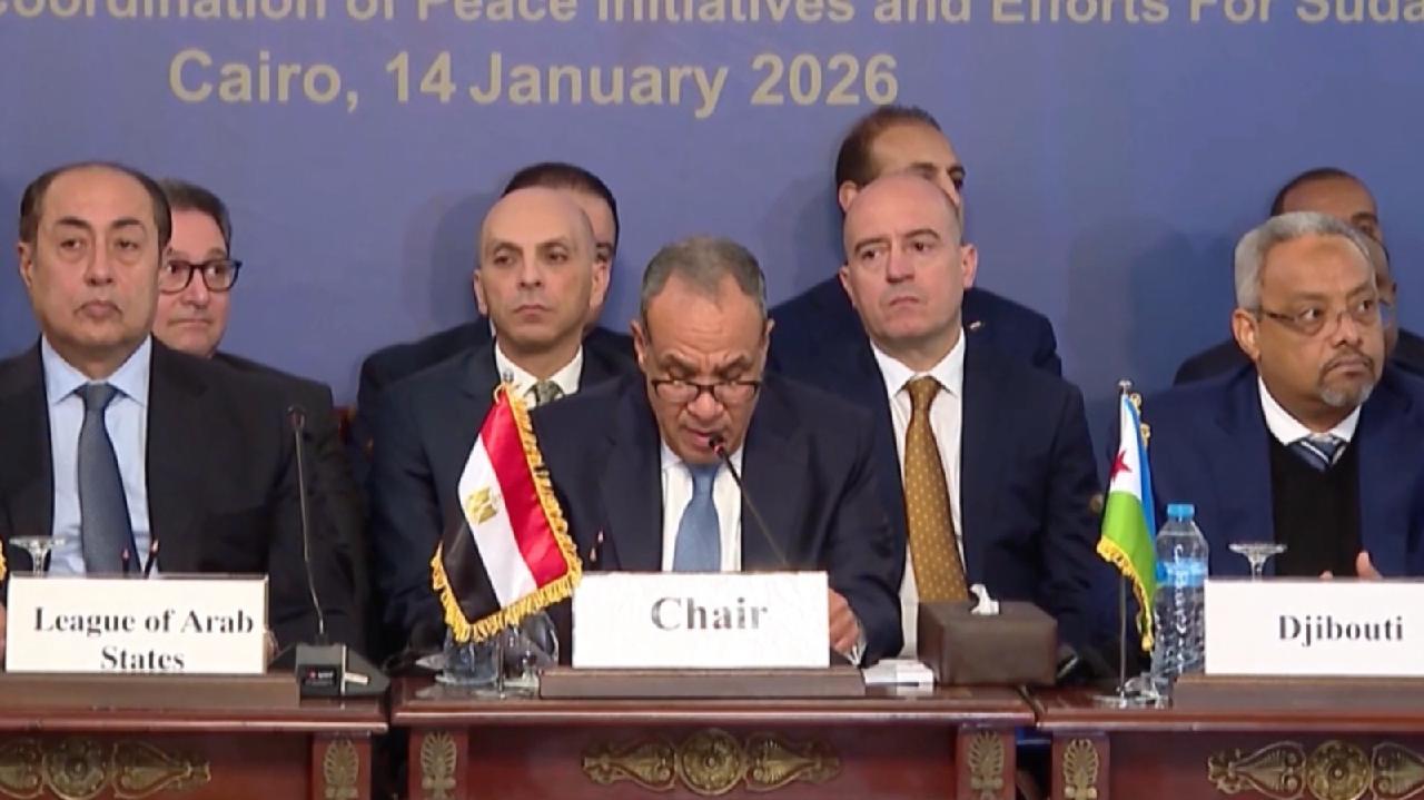 Cairo pushes for global roadmap to solve Sudan crisis