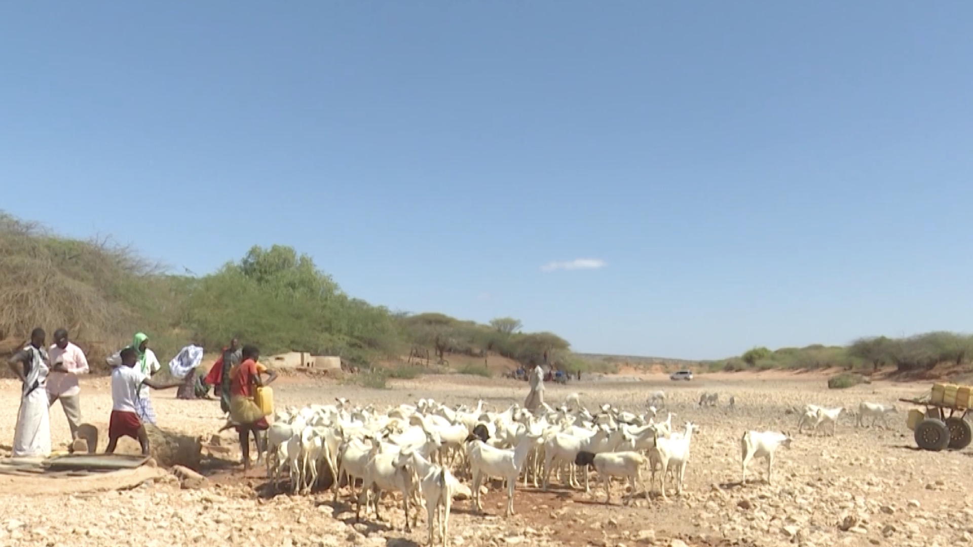 Drought deepens water crisis in rural Somalia
