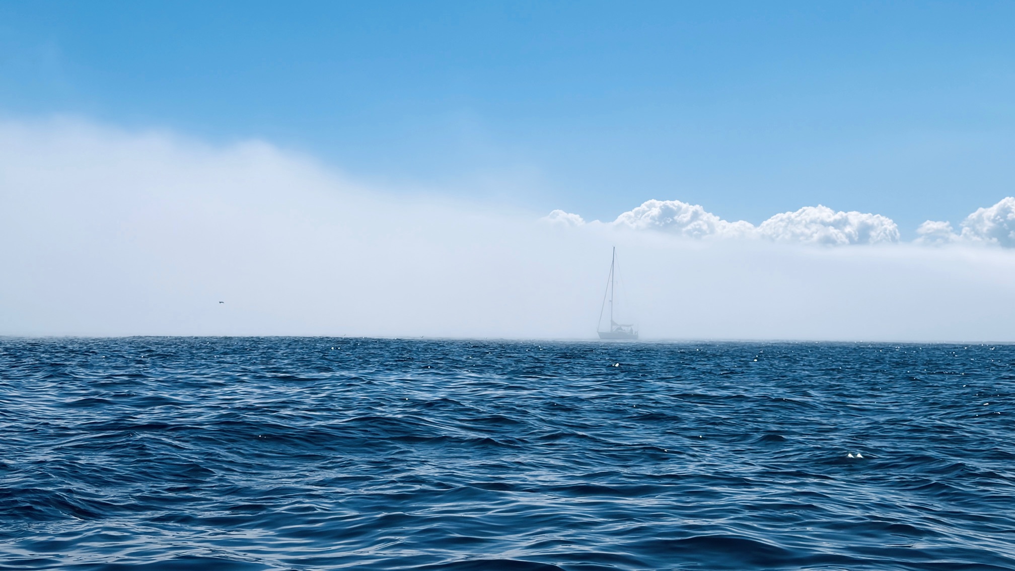 Africa in Pictures: Morning sea fog drapes Cape Town’s waterfront, slowing port activity