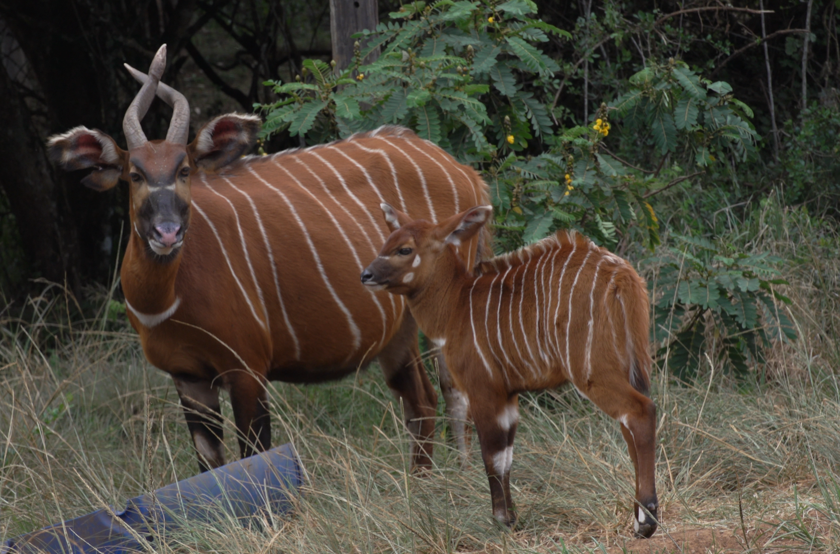 Mia, with her mother. /CGTN Africa