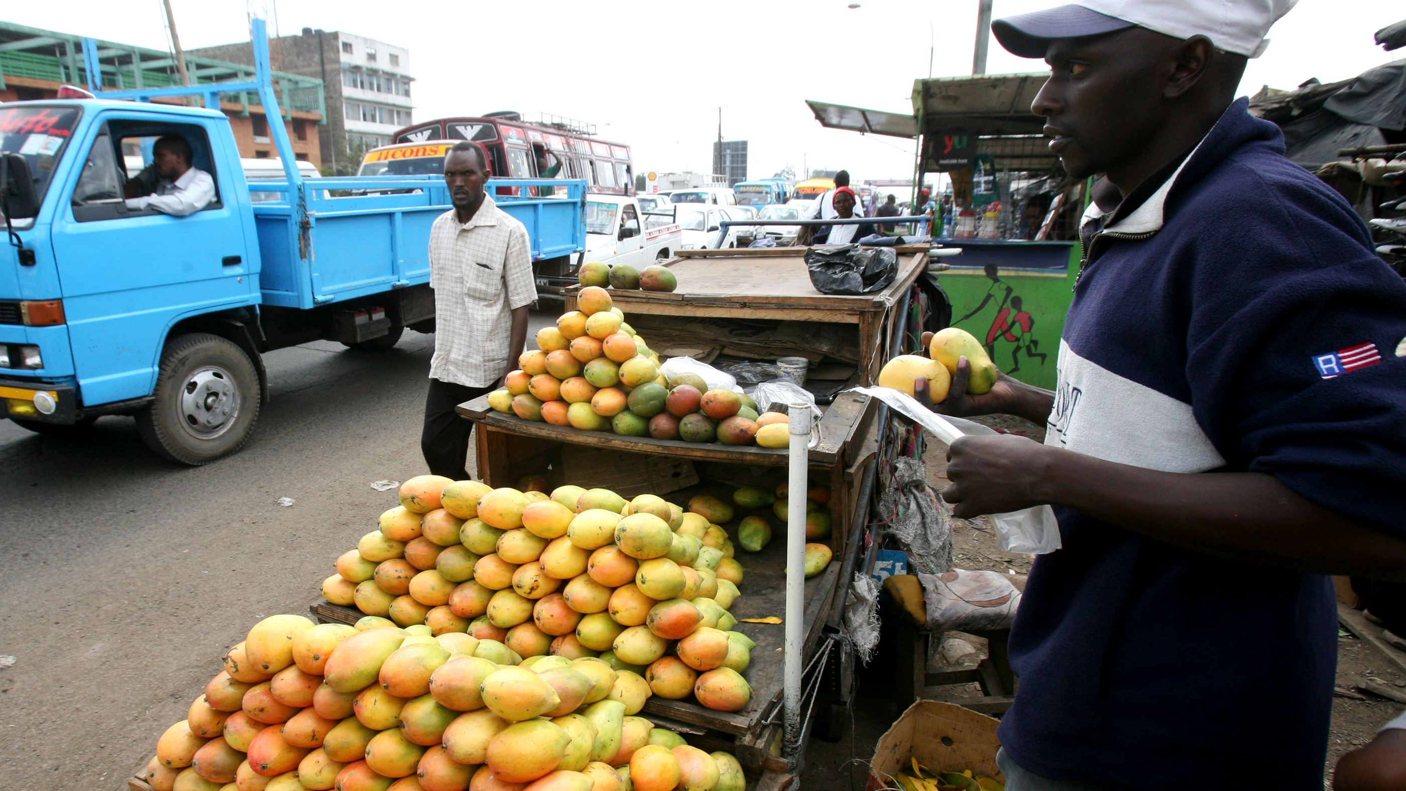 Kenyan mango farmers hit by post harvest losses, low export demand