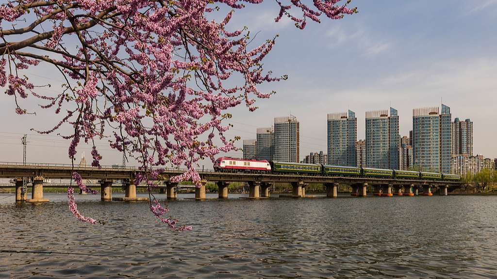 The Grand Canal — where ancient trade routes meet modern ties