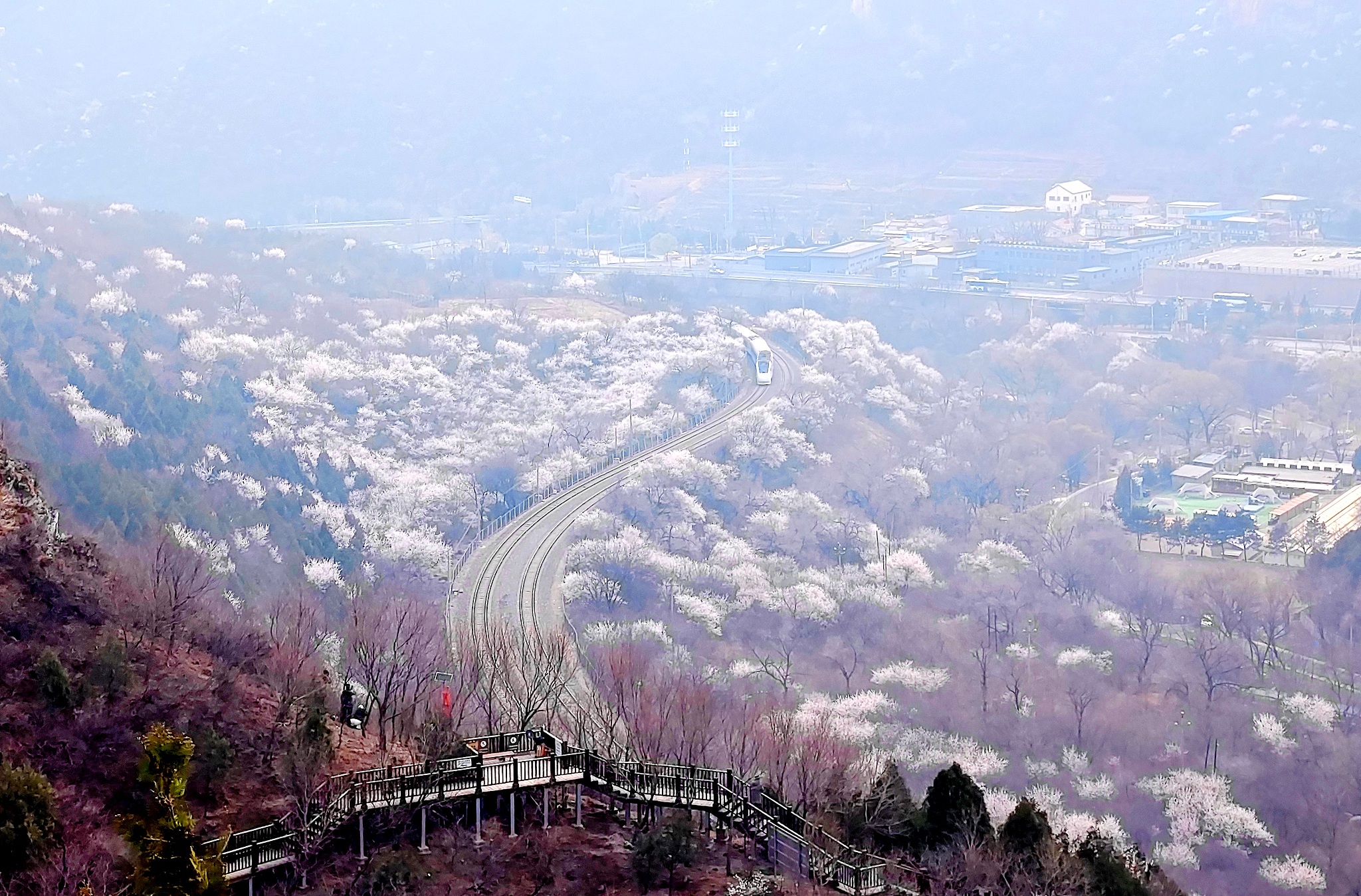 An aerial view of Juyongguan Flower Sea Boardwalk, Beijing./CFP