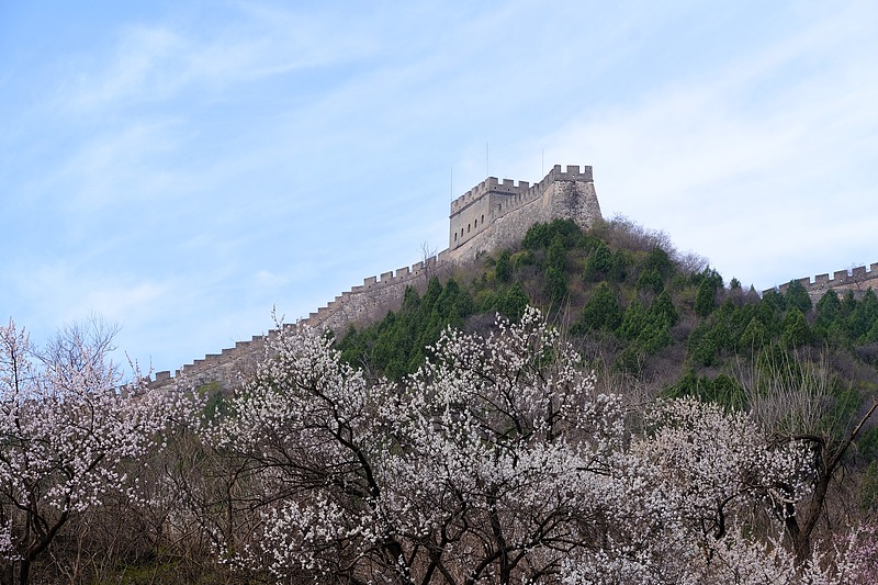 Juyongguan Flower Sea Boardwalk—Train runs in a sea of flower blossoms in Beijing