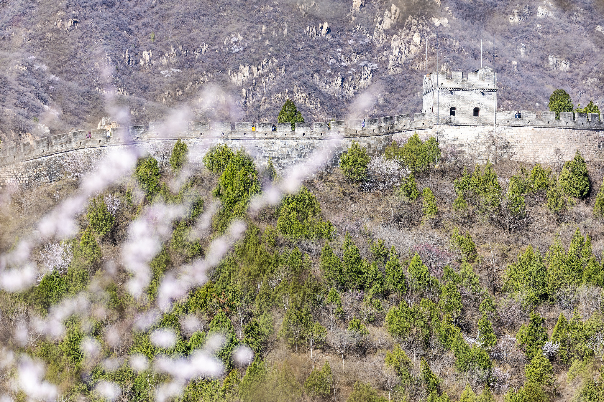 Juyongguan Flower Sea Boardwalk—Train runs in a sea of flower blossoms in Beijing