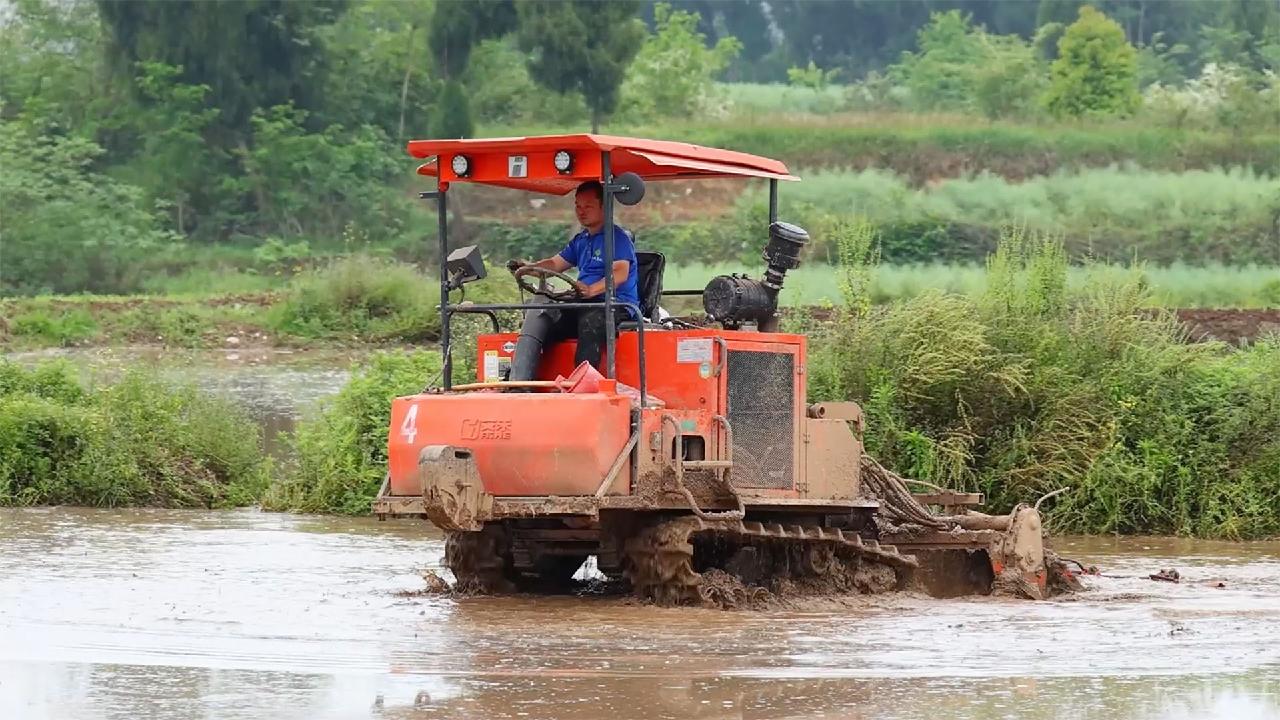 Chongqing: Rice planting in high gear as farmers trial double cropping