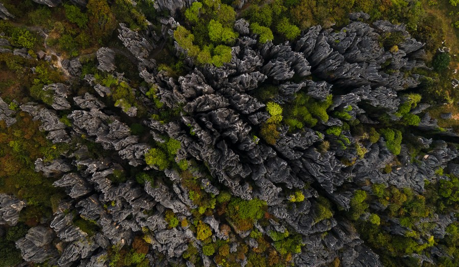 Aerial perspective of the Stone Forest in Shilin Yi Autonomous County, Yunnan Province, showcasing its unique karst landscape on April 9, 2022. /Xinhua