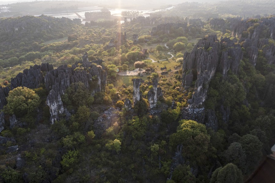 Aerial view captures the Stone Forest in Shilin Yi Autonomous County, Yunnan Province on April 10, 2022. /Xinhua