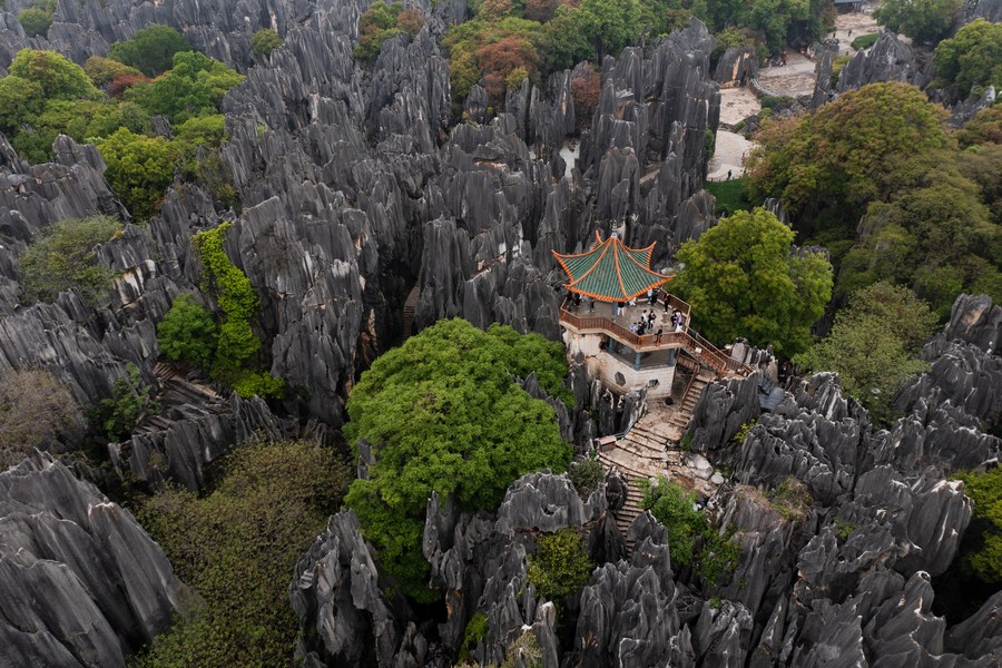 Panoramic aerial view of the Stone Forest in Shilin Yi Autonomous County, Yunnan Province, taken on April 10, 2022. /Xinhua