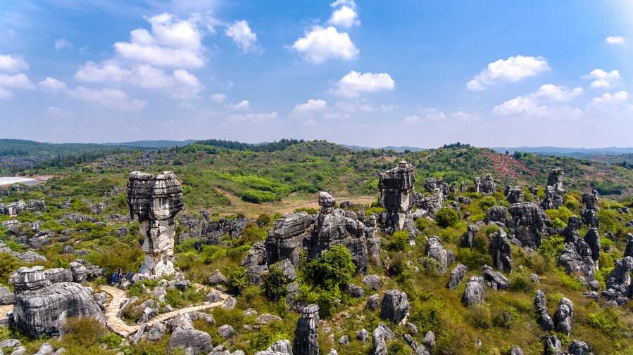 The Stone Forest in Shilin Yi Autonomous County, Yunnan Province, stretches across the landscape in this aerial shot taken on April 10, 2022. /Xinhua