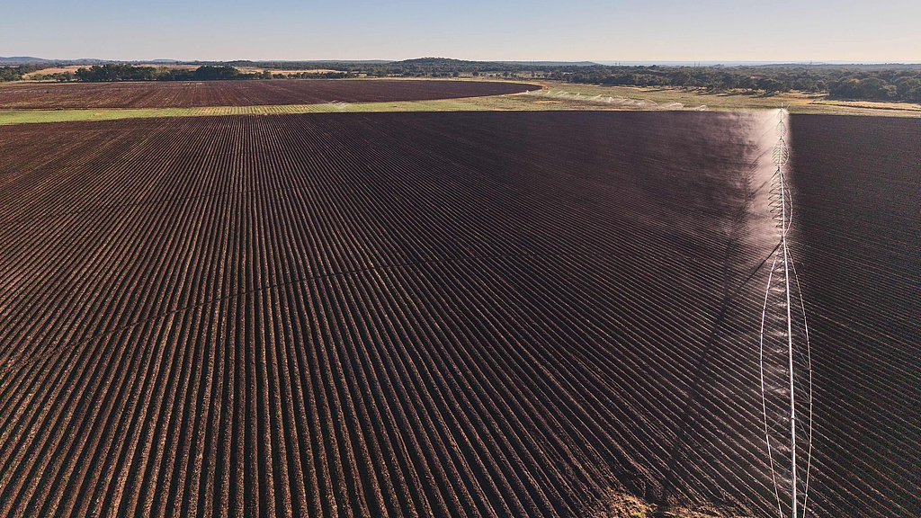 A view of the central pivot irrigation system on a farm near Kwekwe, Central Province, Zimbabwe, on May 8, 2025. /CFP