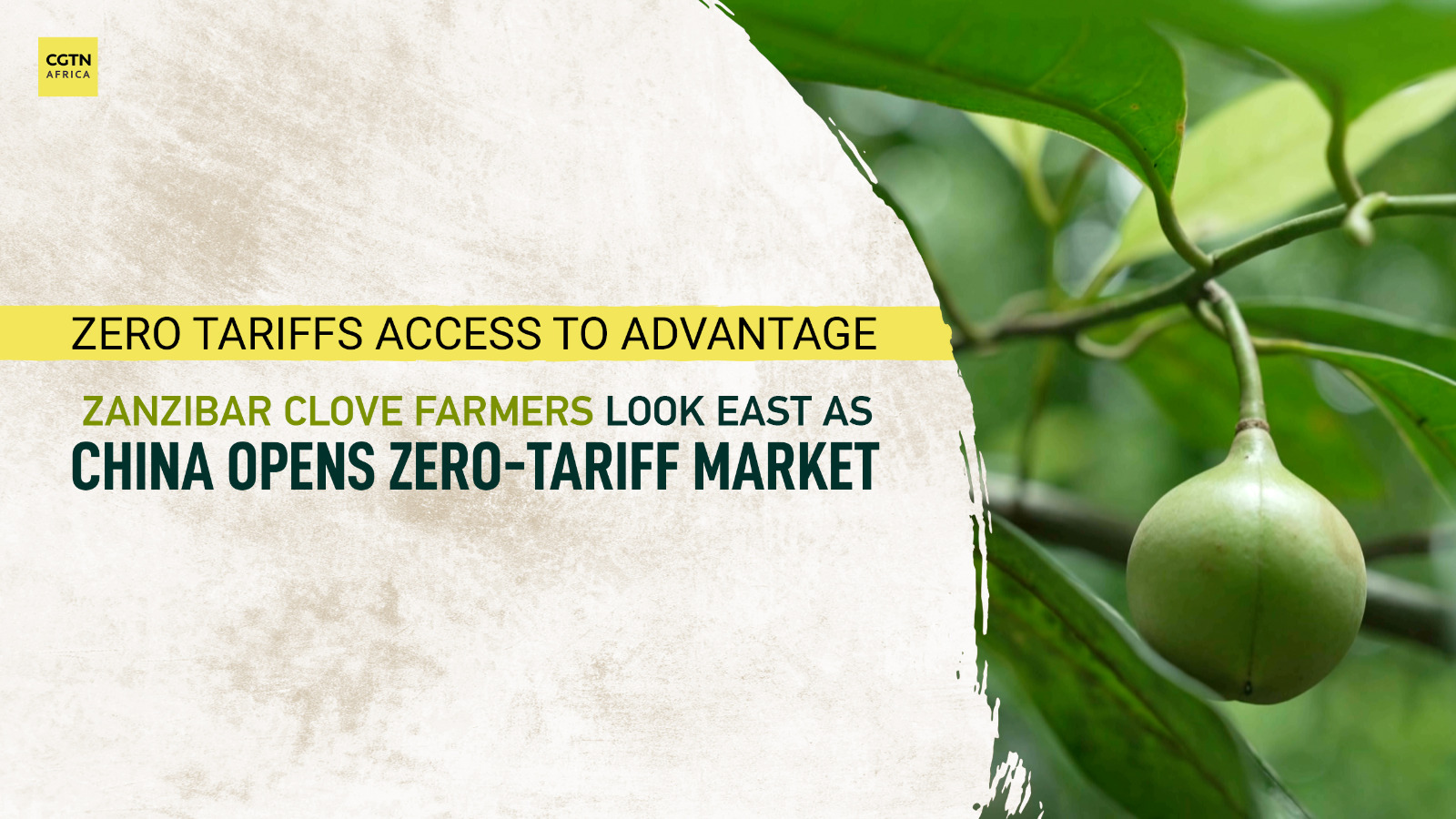 Zanzibar clove farmers look east as China opens zero-tariff market