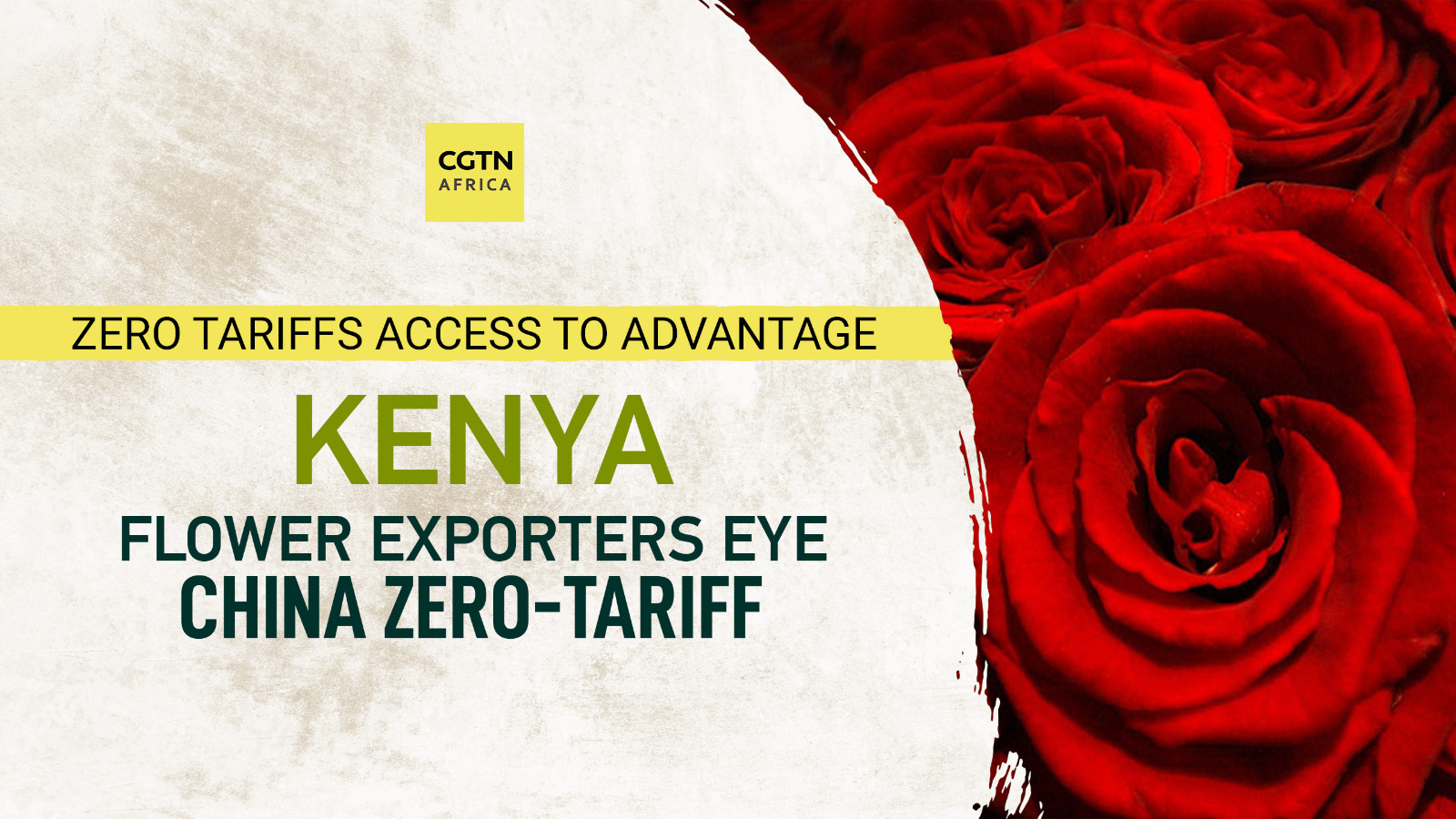 Kenya flower exporters eye China zero-tariff