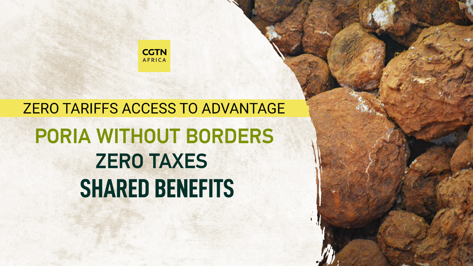 Republic of Congo poria enters China as zero-tariff trade expands