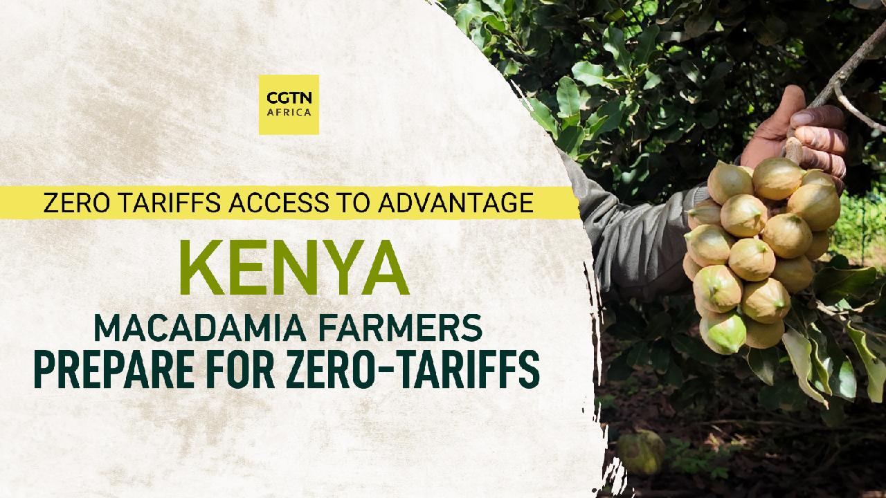 Kenya macadamia farmers prepare for zero-tariffs