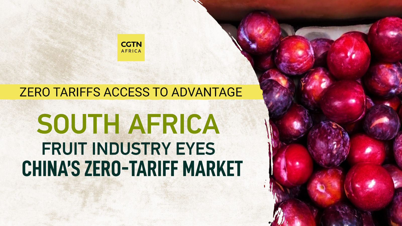 South Africa begins stone fruit exports to China