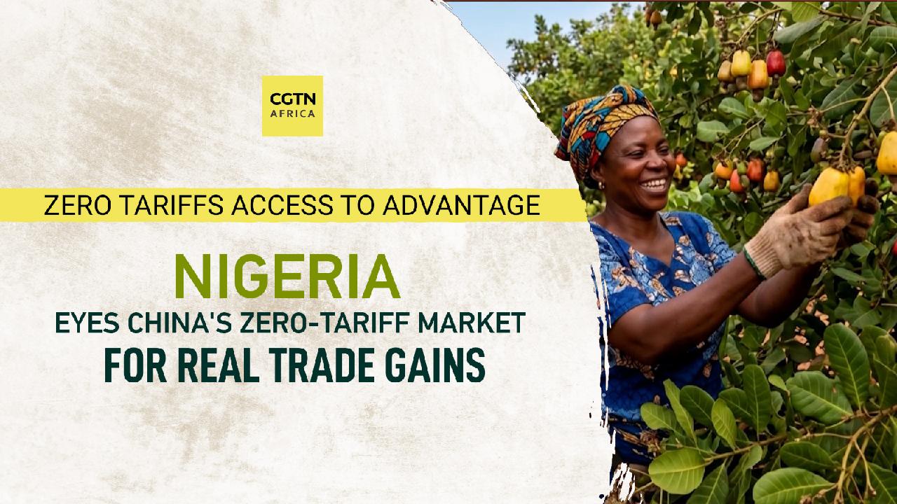 Nigeria eyes China's zero tariffs as real trade gains