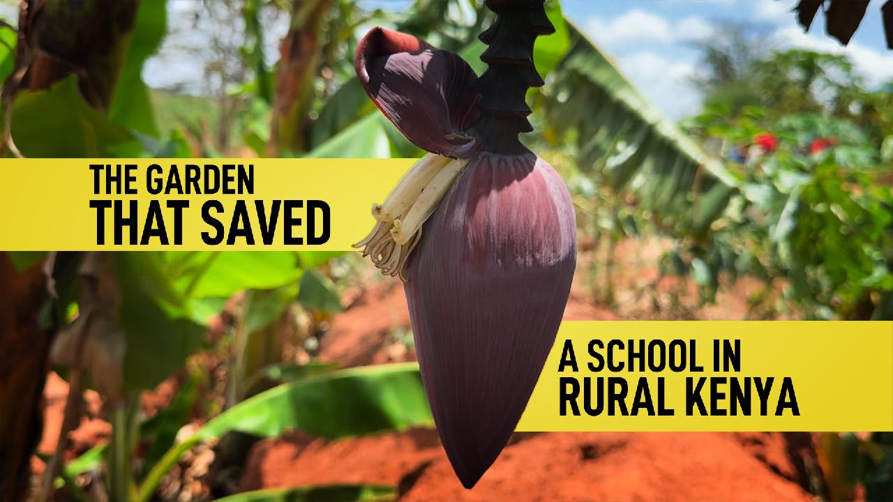 The garden that saved a school in rural Kenya