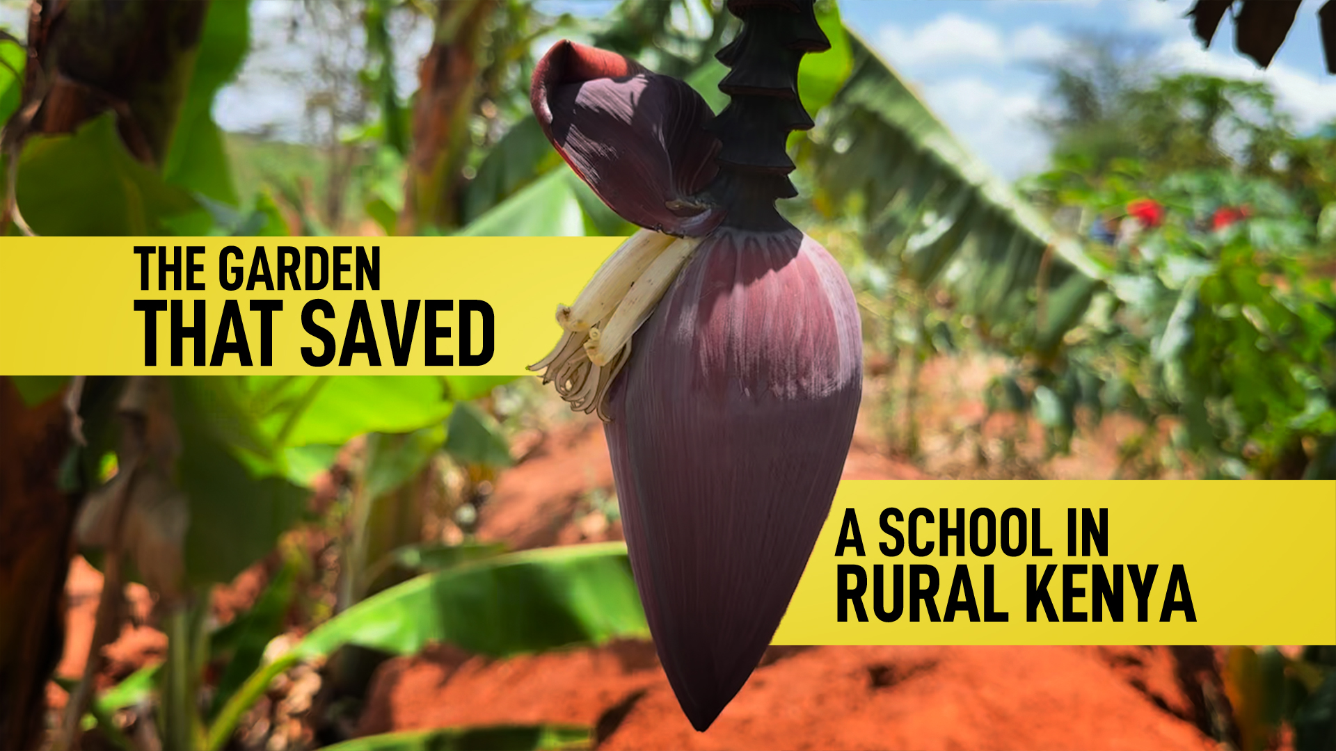The garden that saved a school in rural Kenya