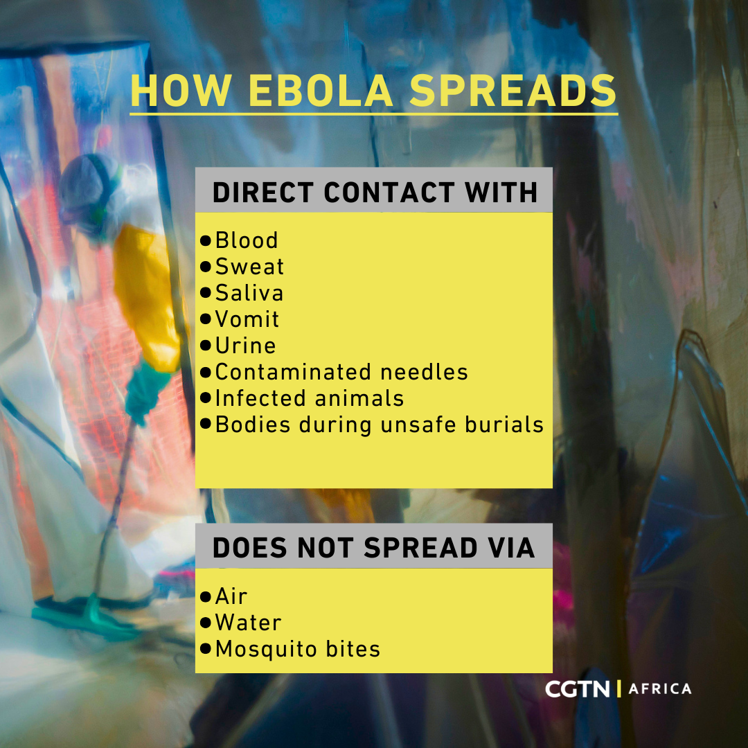 The ABCs of Ebola: facts, figures, and prevention strategies