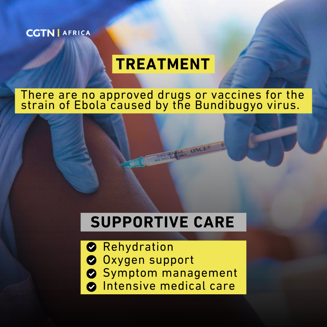 The ABCs of Ebola: facts, figures, and prevention strategies