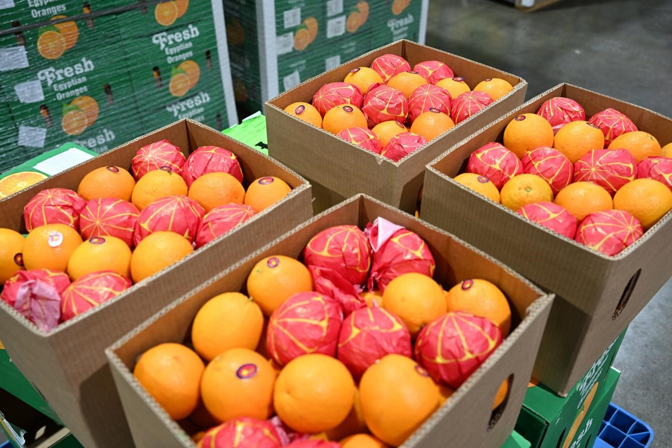 On May 1, 2026, at Shanghai's Waigaoqiao Port Area, a shipment of fresh oranges from Egypt weighing a total of 516 tonnes completed customs clearance under the supervision of Shanghai Customs. The shipment became the first batch of Egyptian goods in China to benefit from the country's zero-tariff policy for African imports. /CFP