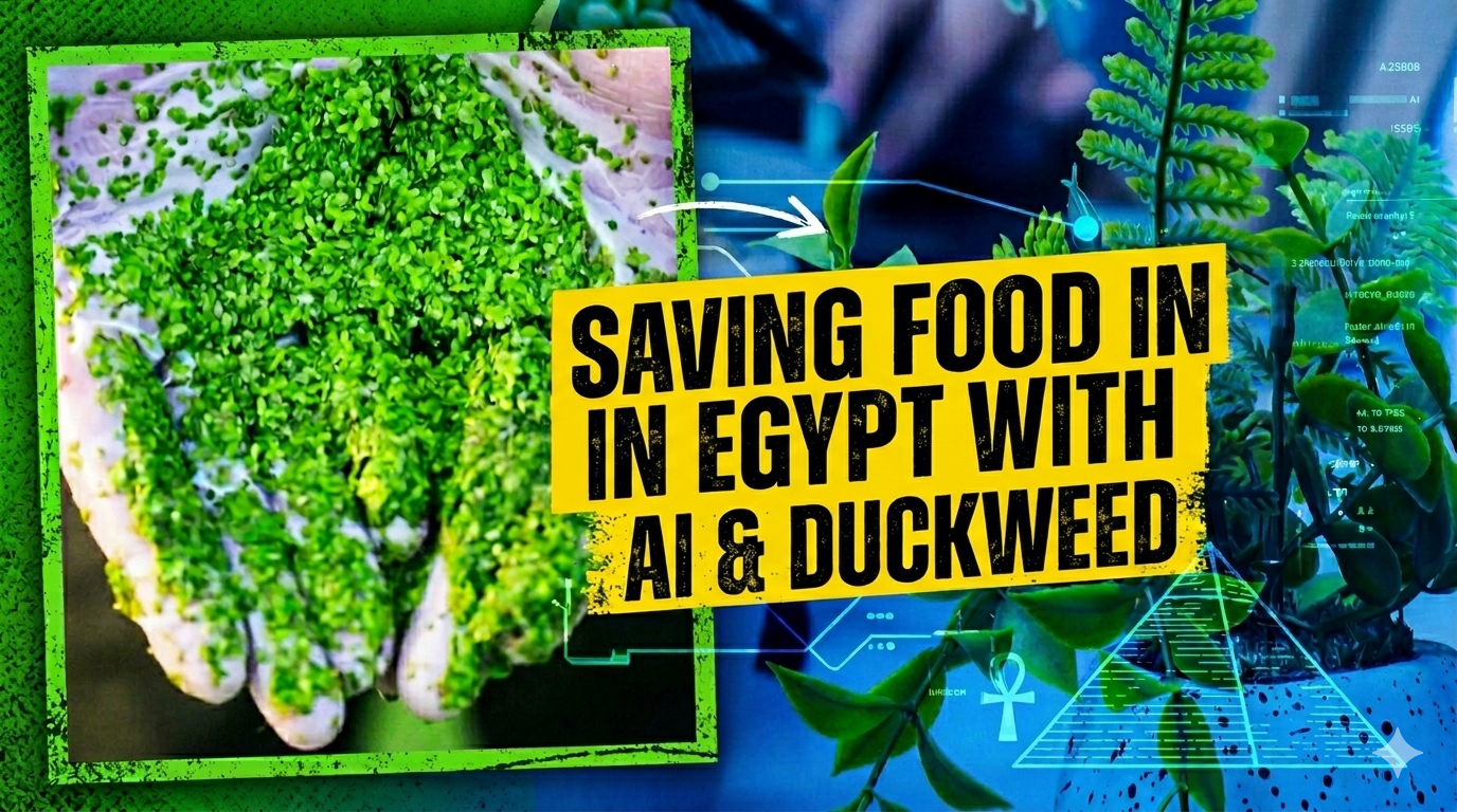 Egyptian startup uses AI and duckweed to boost food security