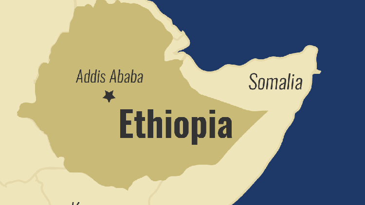 Bus crash leaves 31 dead in Ethiopia
