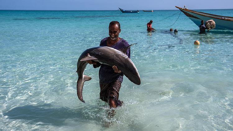 African nations push fisheries transparency at global Mombasa summit
