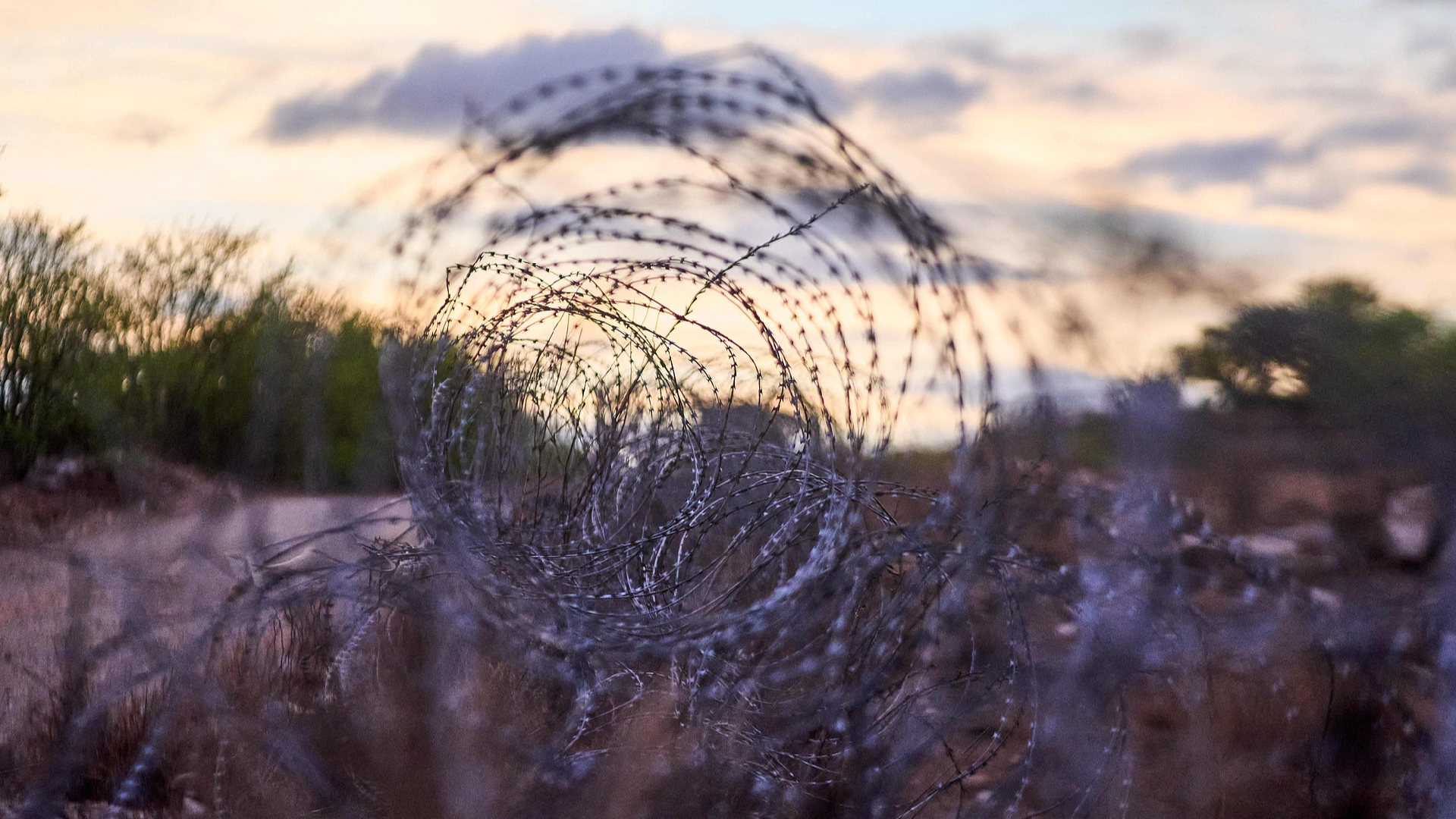 Caught between borders and diplomacy: South Africa's migration dilemma