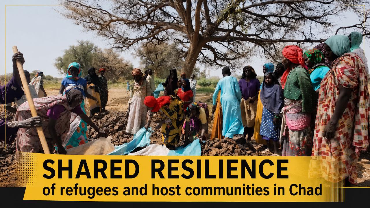 Shared resilience of refugees and host communities in Chad